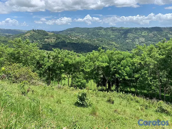 solares y terrenos - finca ganadería en villa trina  10