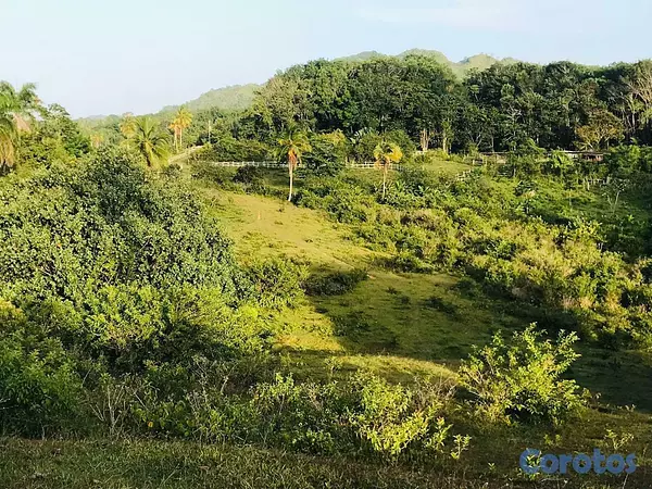 solares y terrenos - Terreno en Venta – Las Terrenas / Las Guázaras 5