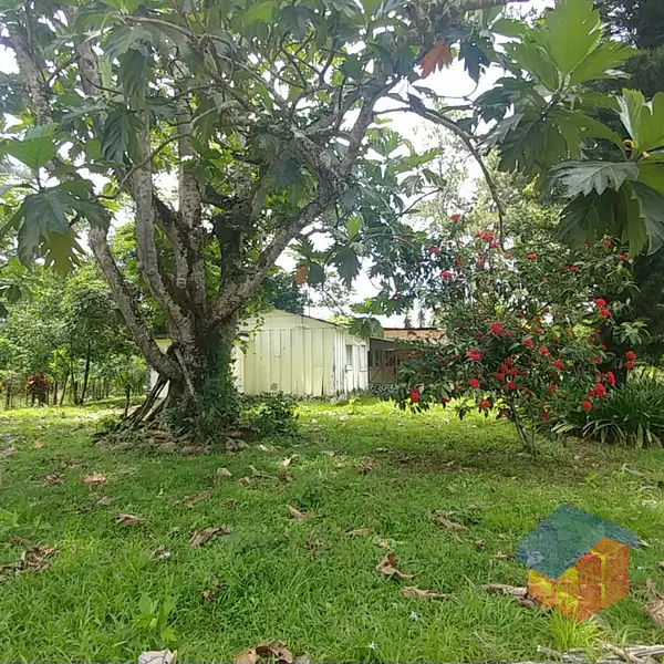 solares y terrenos - Solares Venta en Bonao 1