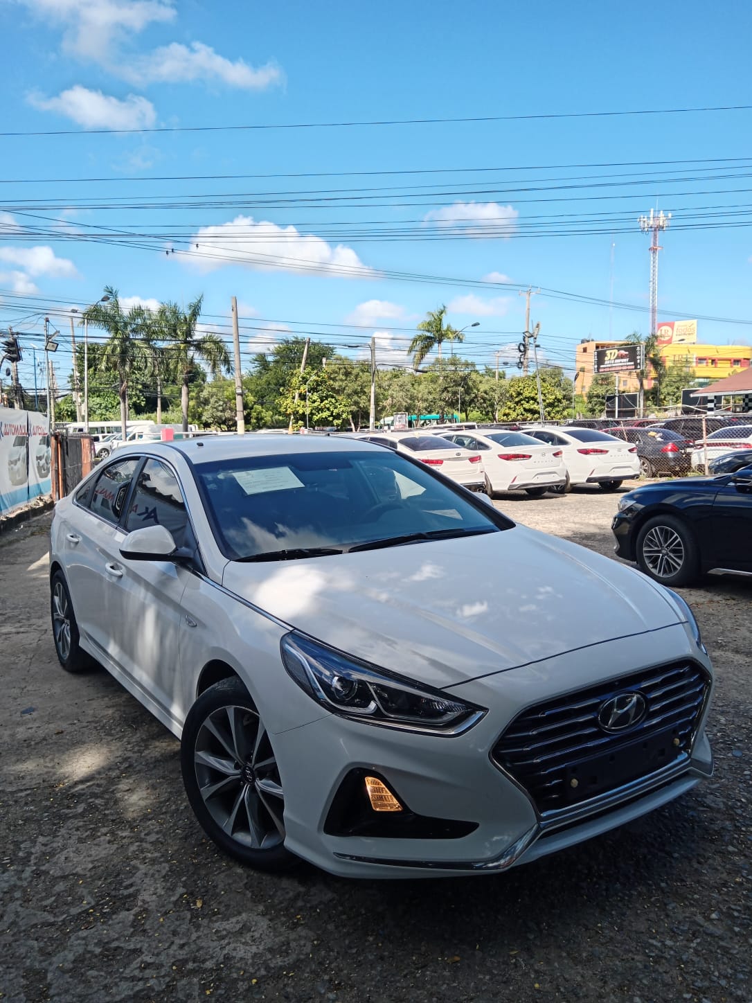 carros - HYUNDAI SONATA NEW RISE 2019 BLANCO 4