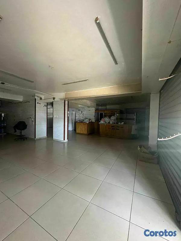 oficinas y locales comerciales - LOCAL 1ERA EN GAZCUE SE PUEDE ALQUILAR LA MITAD, 145MTS 4