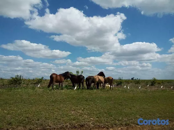 casas vacacionales y villas - En Venta Villita en lagos de Reyes de 868 metros Se Recibe Permuta 3