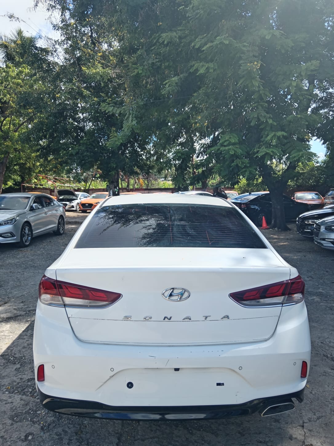 carros - HYUNDAI SONATA NEW RISE 2019 BLANCO 3
