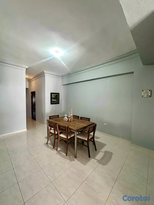 apartamentos - Apartamento Totalmente Amueblado en Alquiler en Pi 6
