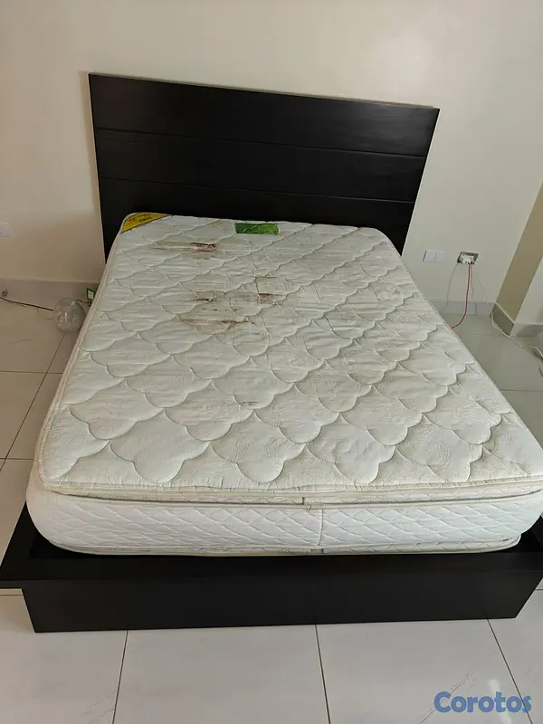 muebles y colchones - Colchón, Mueble, Sillas, Alfombra  3