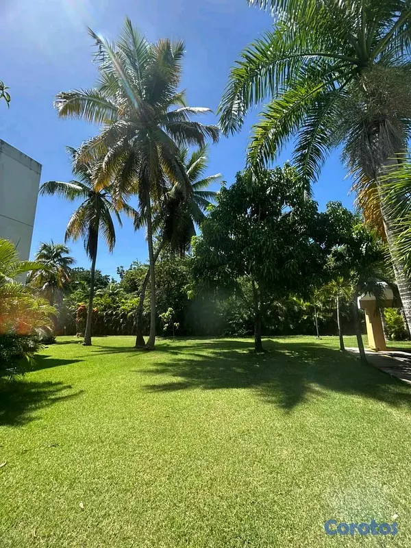 apartamentos - Alquiler de Apartamento en la avenida Anacaona  2