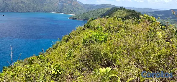 solares y terrenos - En Venta Solar en el Valle de Samana con Playa y Montaña 4