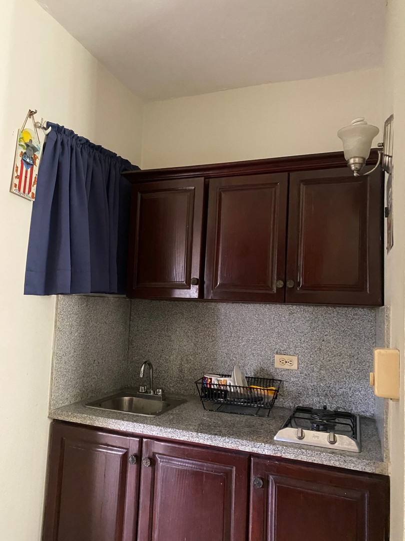 apartamentos - Alquiler Apartamento Estudio, Zona Colonial 1