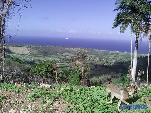 solares y terrenos - Remato Solar de 292mil metros Puerto Plata  9