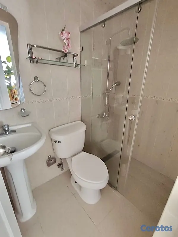 apartamentos - Apartamento en Alquiler  5