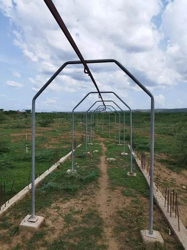 solares y terrenos - Finca 7,000 tareas Mao
 3