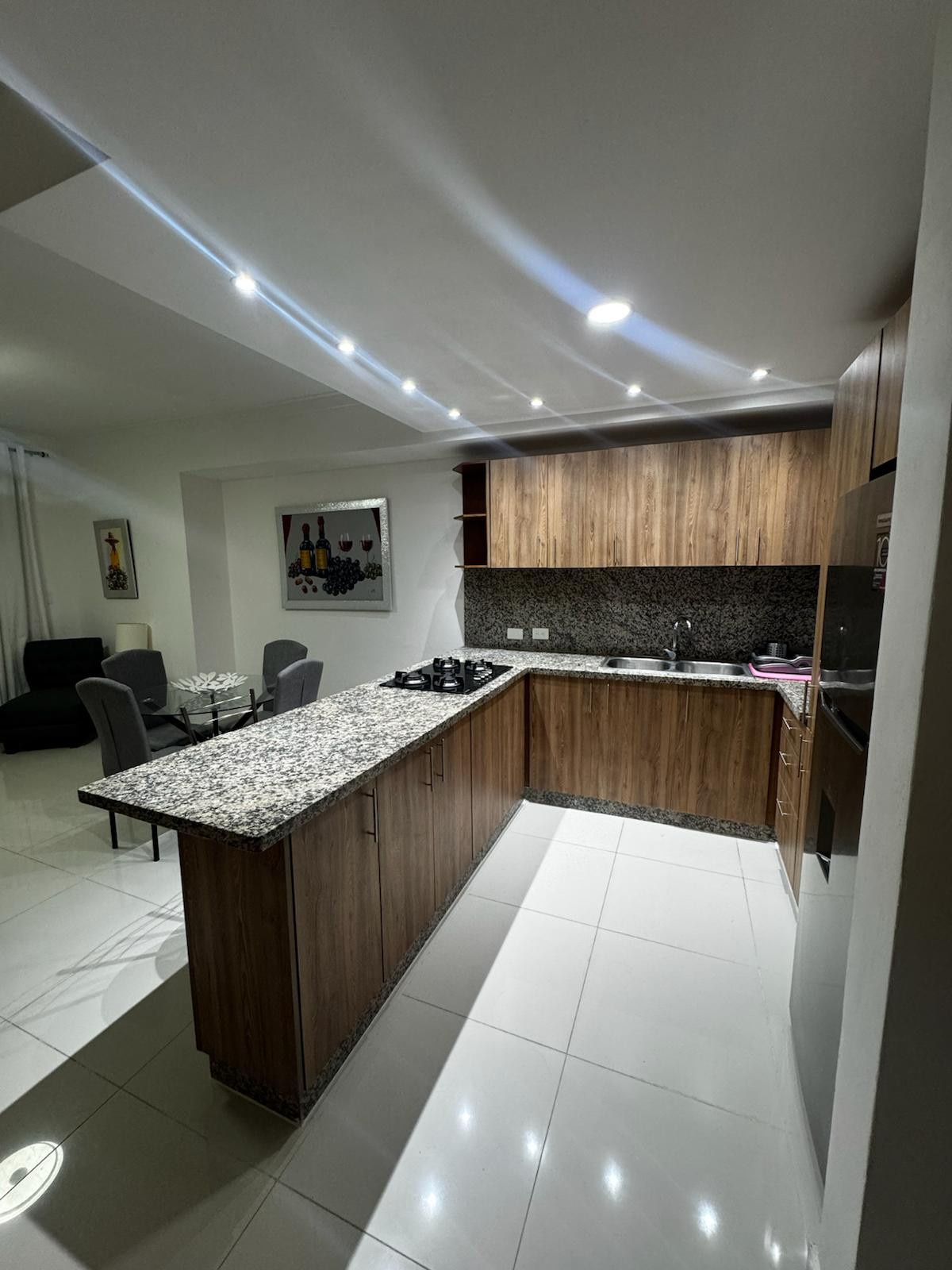 apartamentos - Apartamento en Renta Amueblado en Bella Vista  9