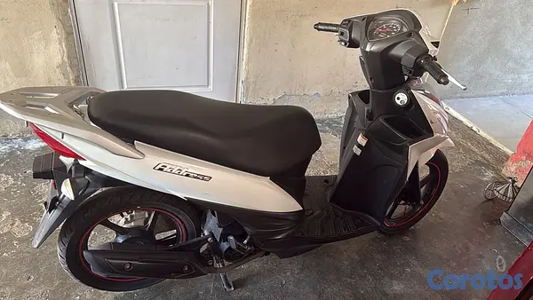 motores y pasolas - una pasola adry  2