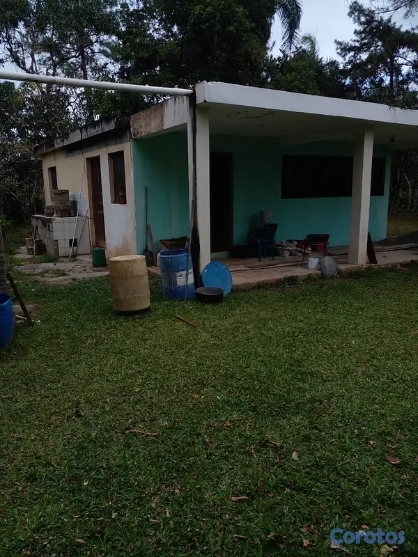 solares y terrenos - finca de 125 tareas  en bayaguana  6