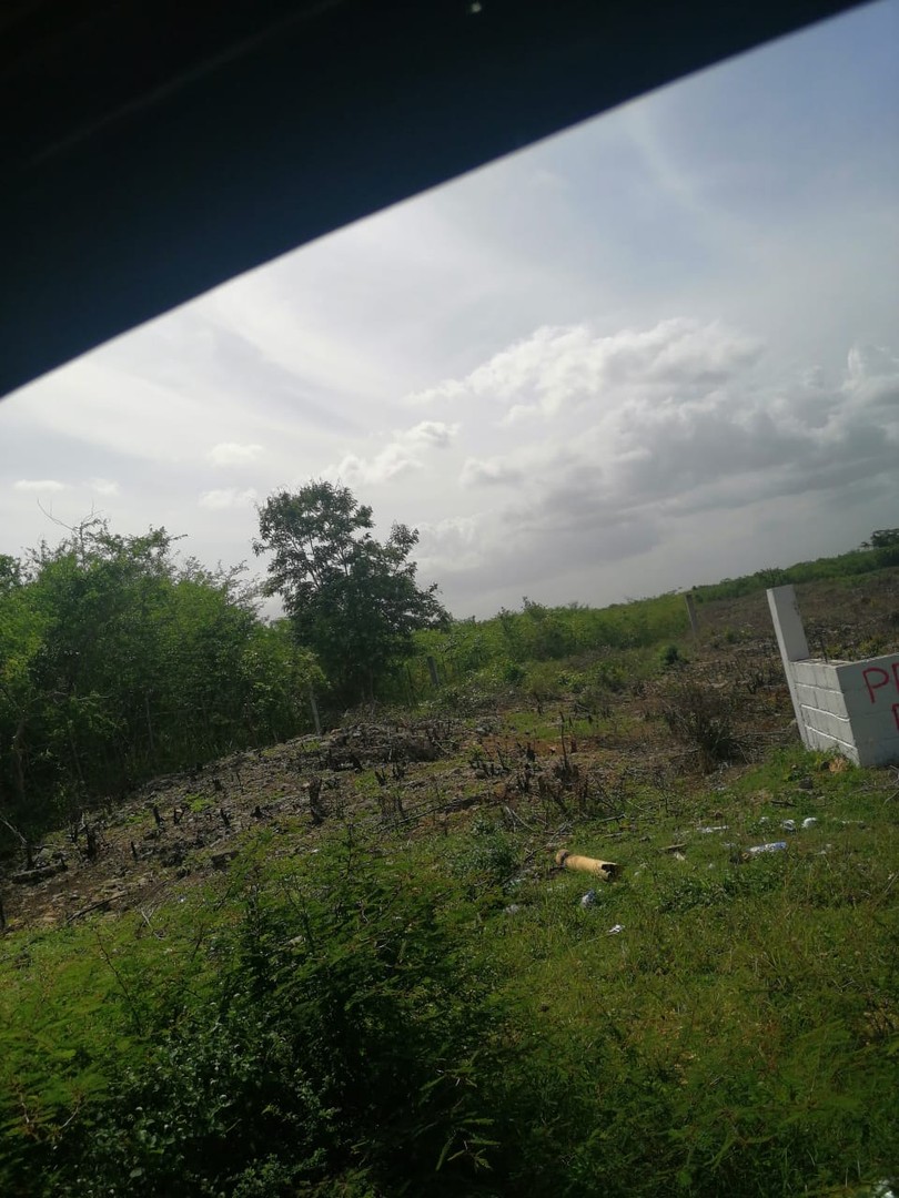 solares y terrenos - SOLAR DE 125,000 METROS CUADRADOS, CERCA DE LA ARMADA DOMINICANA 9
