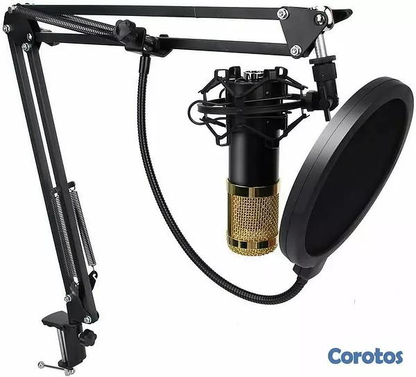 equipos profesionales - Micrófono Condensador Profesional de estudio 6