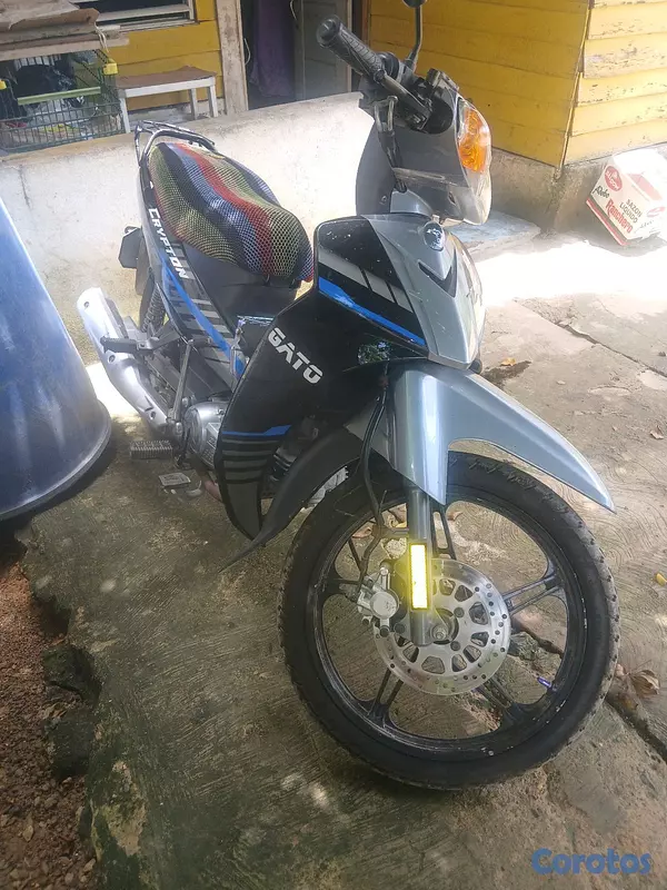 motores y pasolas - Crypton gato matricula original  3