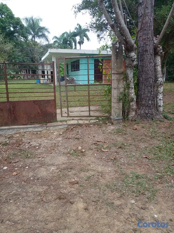 solares y terrenos - finca de 125 tareas  en bayaguana  3