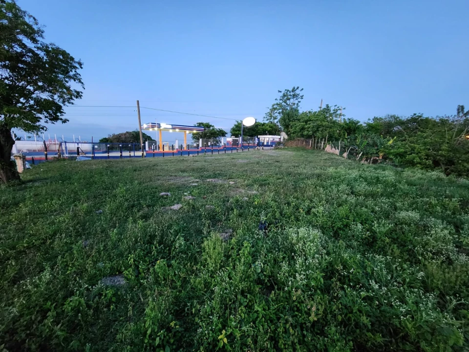 solares y terrenos - Finca en LOMA DEL COCO LA VEGA 2