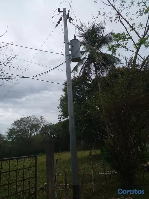solares y terrenos - finca de 125 tareas  en bayaguana  4