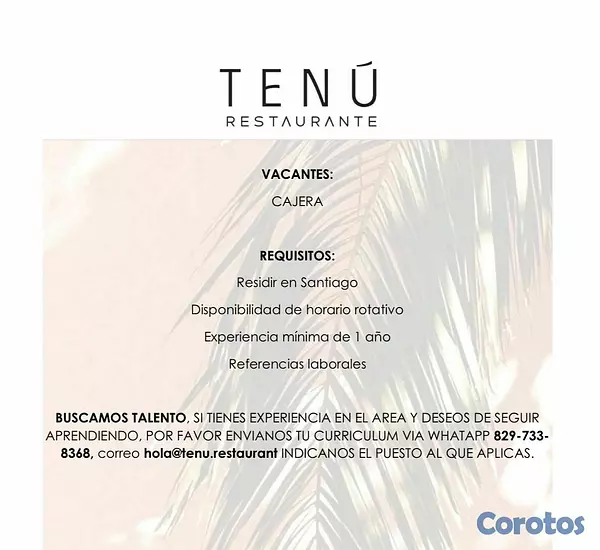 empleos disponibles - VACANTE CAJERA DE RESTAURANTE SANTIAGO
