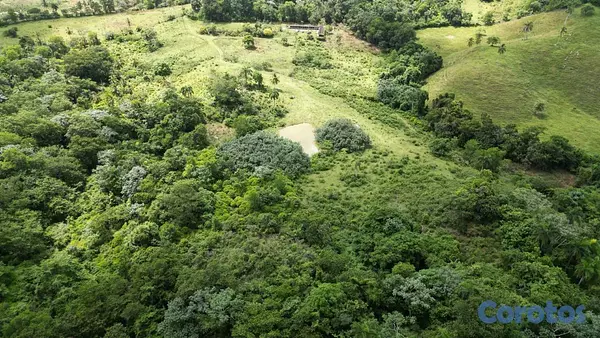 solares y terrenos - Terreno en Venta – Las Terrenas / Las Guázaras 9
