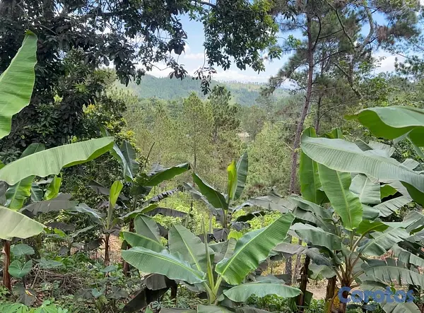 solares y terrenos - TERRENO EN VENTA – JAMAMÚ, SAN JOSE DE LAS MATAS 8