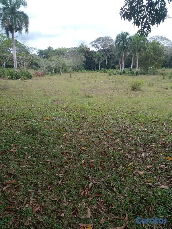 solares y terrenos - finca de 125 tareas  en bayaguana  5