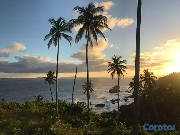 solares y terrenos - Samaná, Punta Balandra - Terreno primera línea de mar dentro residencial premium 2