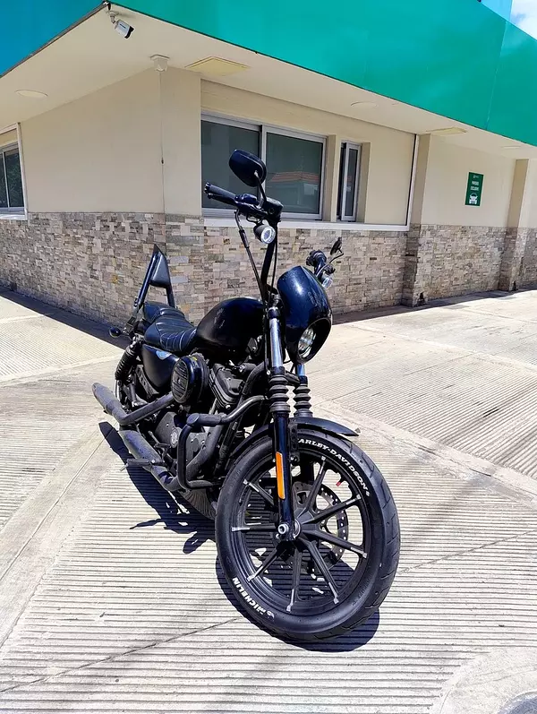 motores y pasolas - Harley Davidson Sportster Iron 2019 6