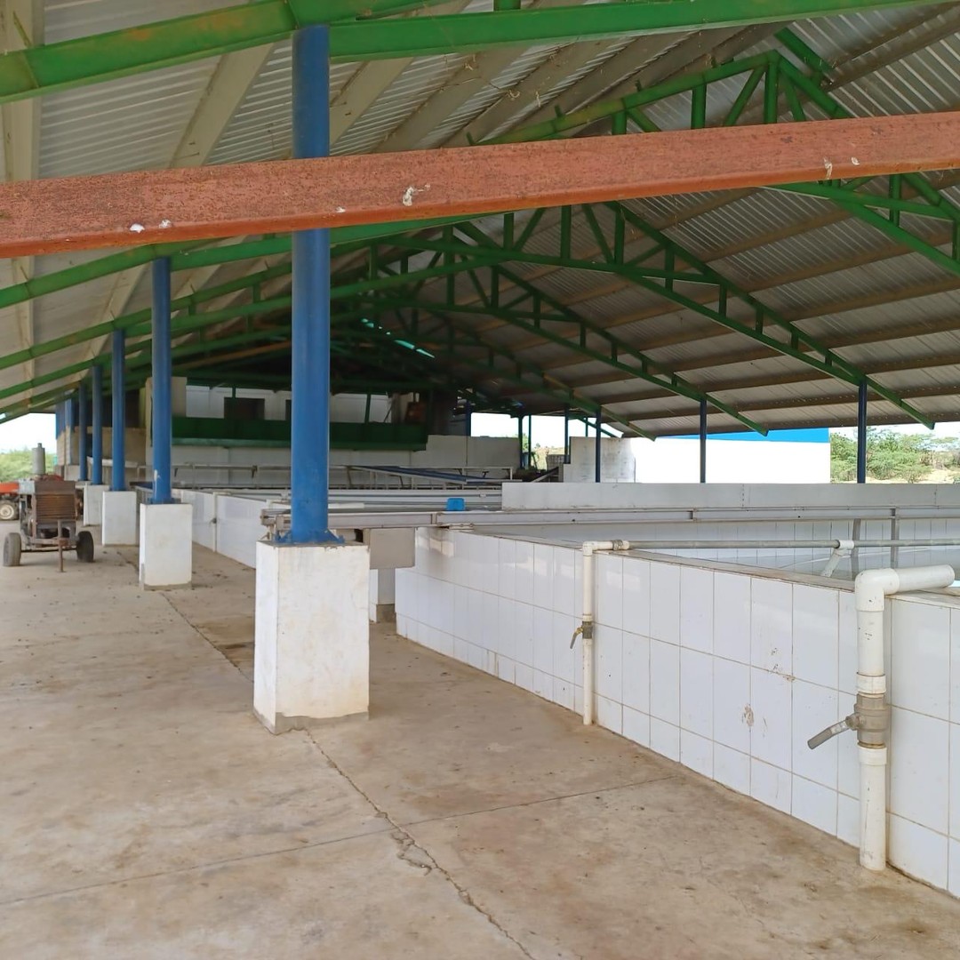solares y terrenos - Finca 7,000 tareas Mao
 4
