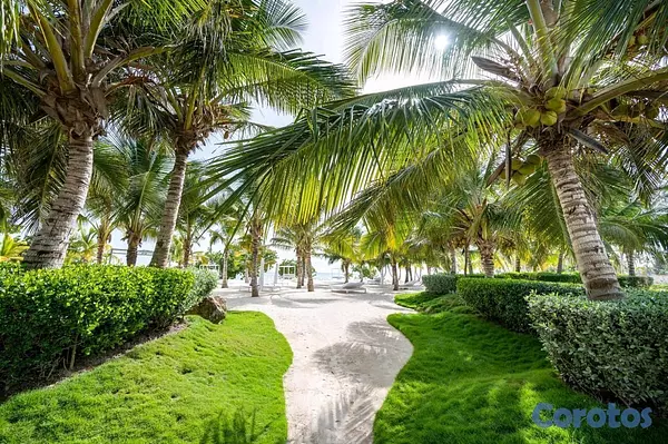 apartamentos - Dominicus Aqua Esmeralda (Oceanfront) 13