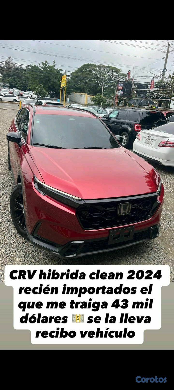 carros - Todos tipos de vehiculos  9