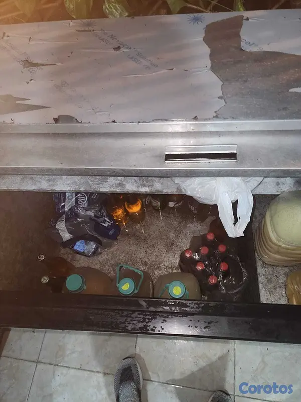 equipos profesionales - Vendo freezer 2