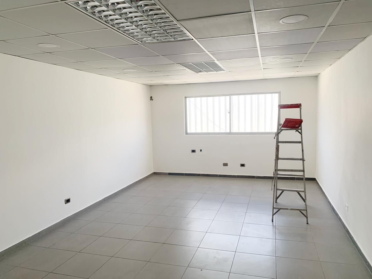 oficinas y locales comerciales - Local comercial céntrico  2