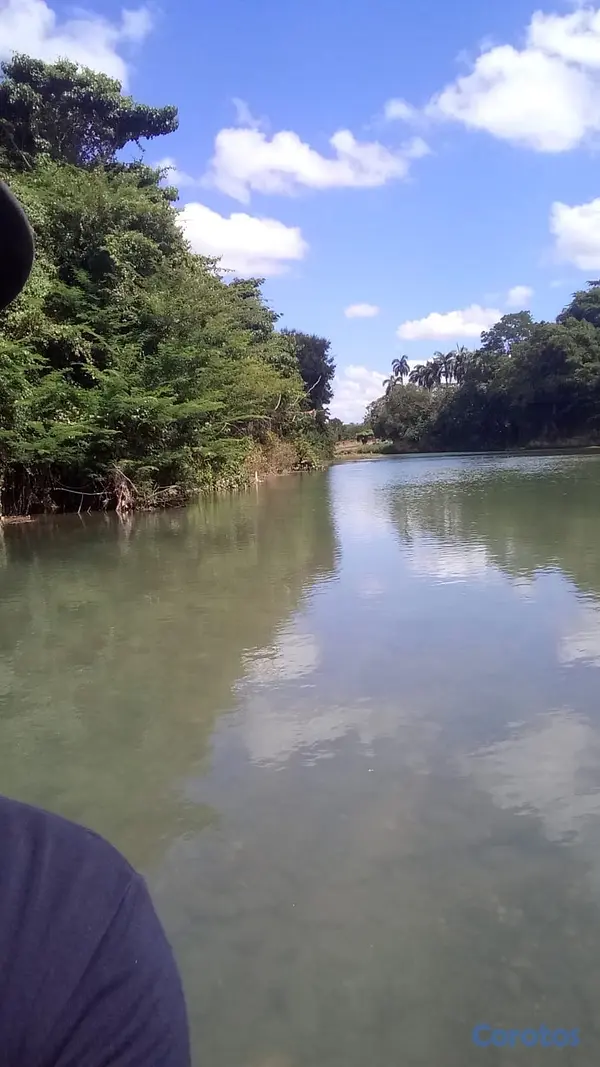 solares y terrenos - finca de 570 tareas en madre vieja sosua  4
