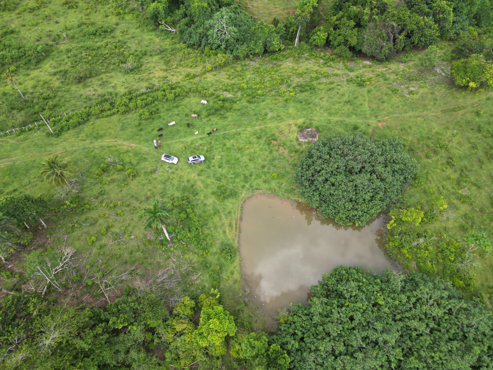 solares y terrenos - En venta : precio US$1,336,510 Las Terrenas - Las  8