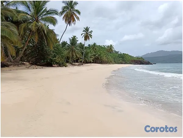 solares y terrenos - VENDO 700,OOO  Mts.2, con 230 metros lineales de Playa, Playa Rincón , LAS TERRE 2