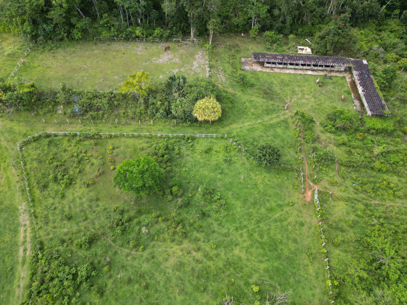 solares y terrenos - En venta : precio US$1,336,510 Las Terrenas - Las  9