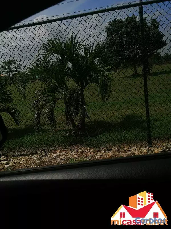 solares y terrenos - Terreno de 96,500 metros en Boca Chica 2