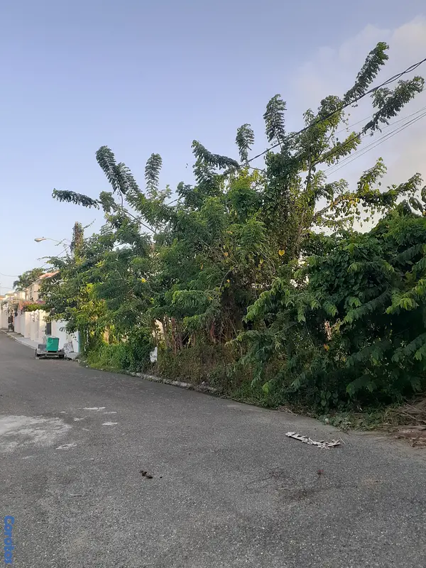 solares y terrenos - Solar en venta 1000 M2, deslindado, Puerto Plata 2