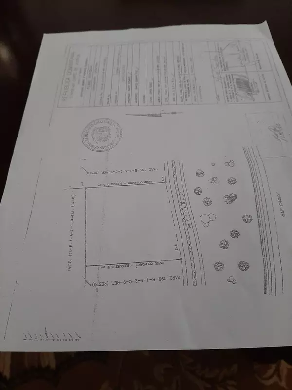 solares y terrenos - Terreno 20,000 metros Avenida España 1