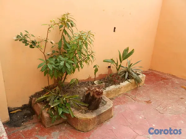 apartamentos - Apartamento en alquiler  9