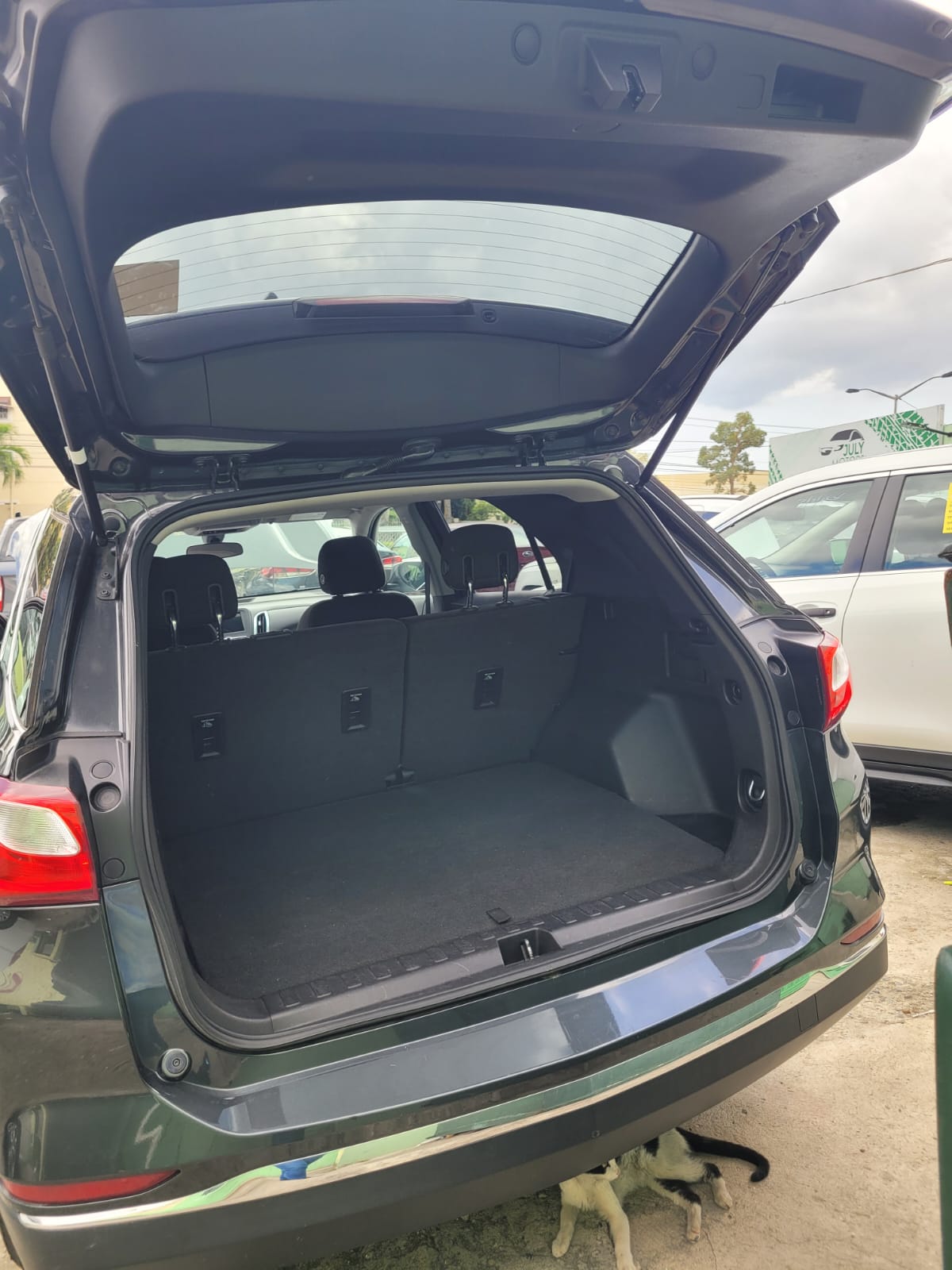 jeepetas y camionetas - Chevrolet Equinox LT 2020 4