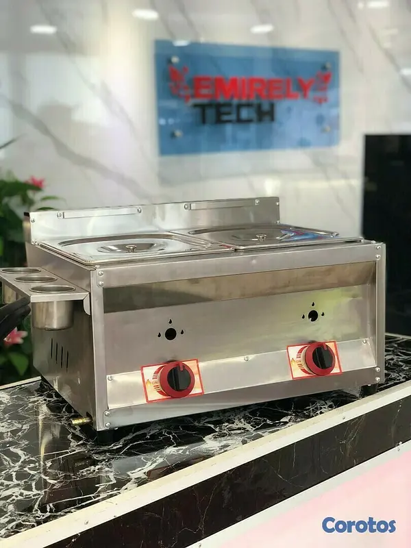 equipos profesionales - Freidora de gas de doble envase de 10 litros con escurridora para papa pollo 8