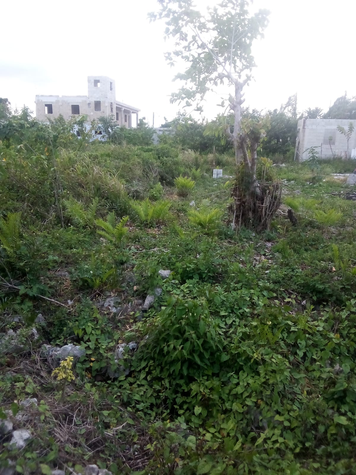 solares y terrenos - VENDO 300 MTS  BAVARO ALTOS DE FRIUSA  2