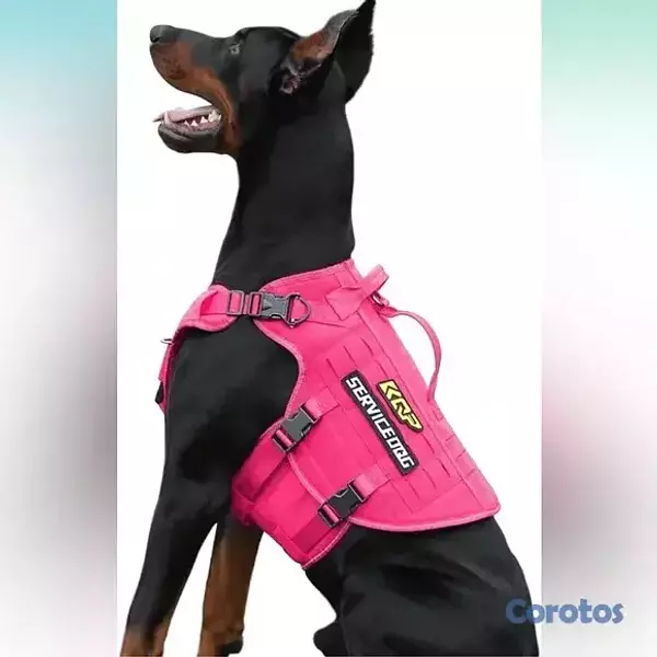 animales y mascotas - Arnés táctico para perros size M 9