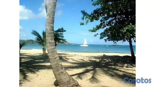 solares y terrenos - Venta de Terreno 1a Linea de Playa - Puerto Plata 2
