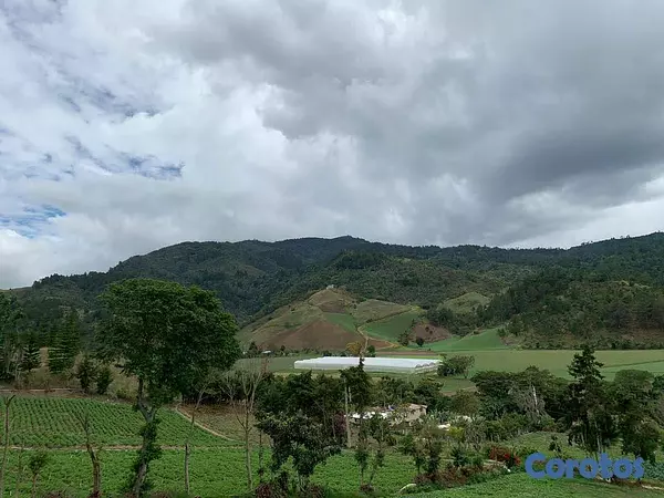 solares y terrenos - Venta de Solares en Constanza Excelente Ubicación! 4