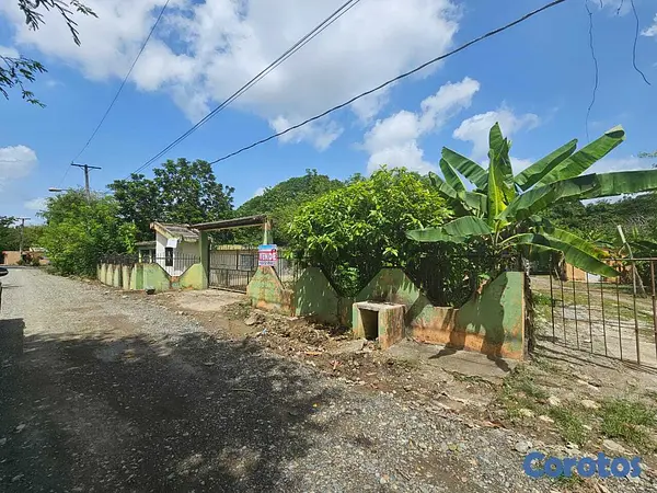 solares y terrenos - Finca de Cacao en Venta en San Francisco de Macorís Macoris 1